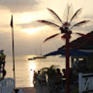 Meet your Posher, Tera